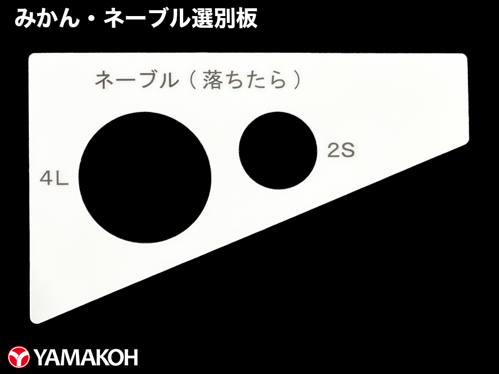 ネーブル選別板アップ